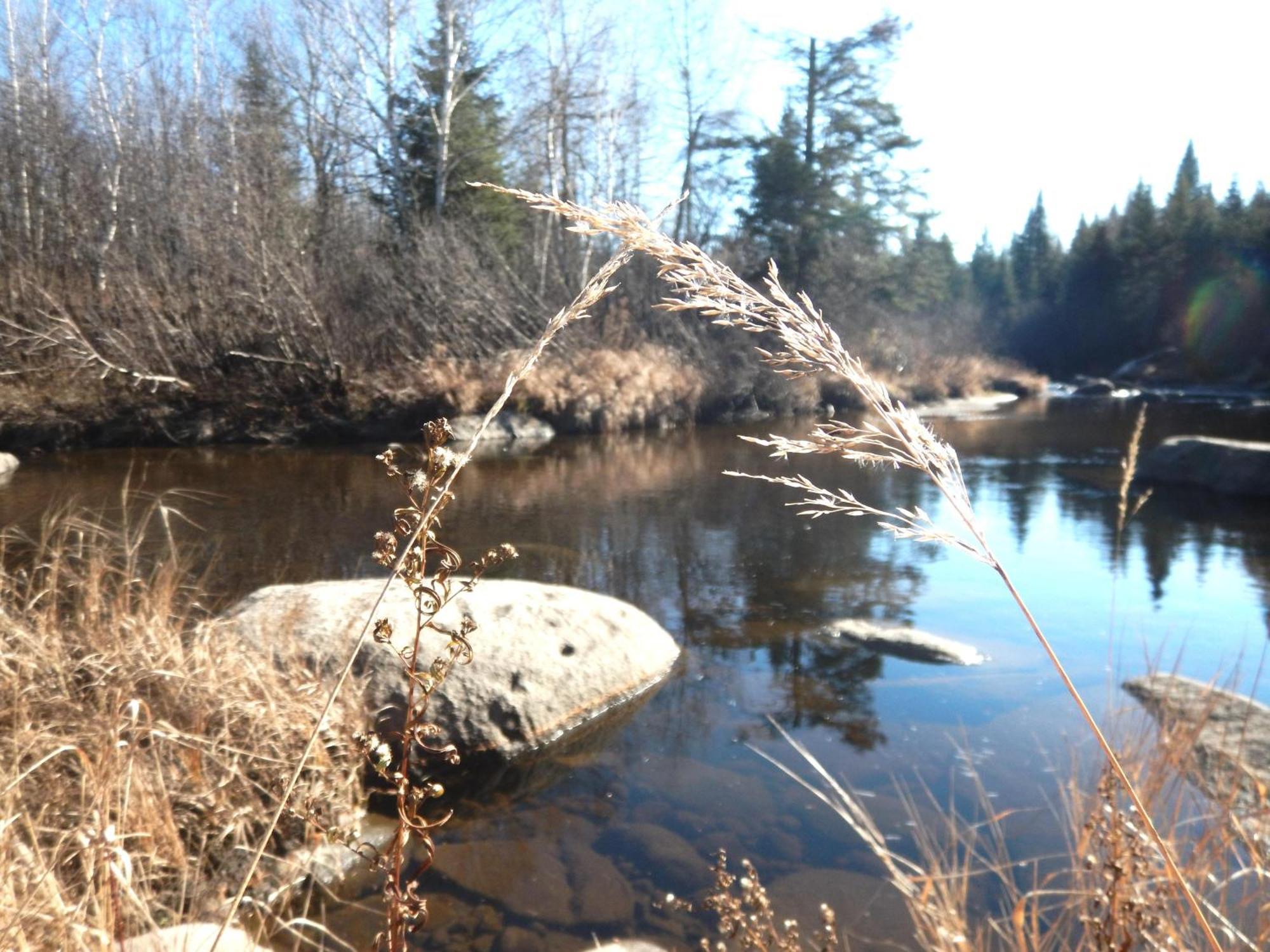Aux Tipis De La Riviere Sauvage Villa Saint Romain Buitenkant foto
