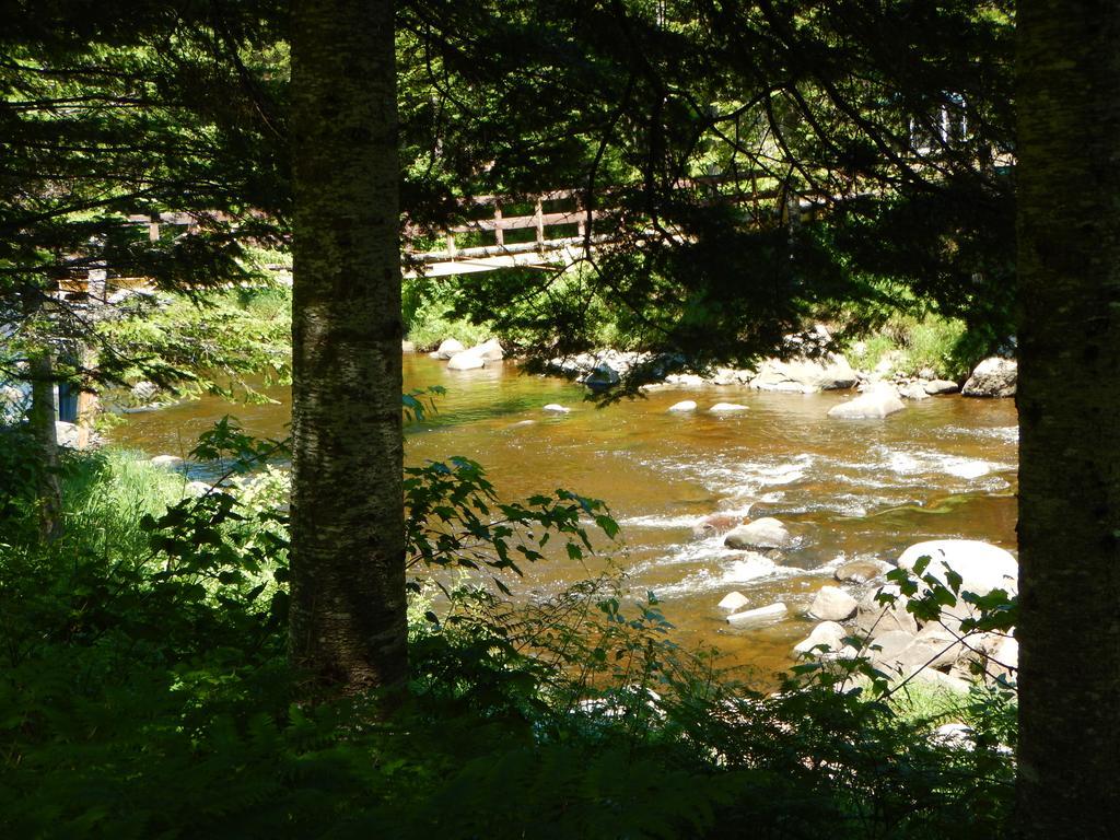 Aux Tipis De La Riviere Sauvage Villa Saint Romain Kamer foto