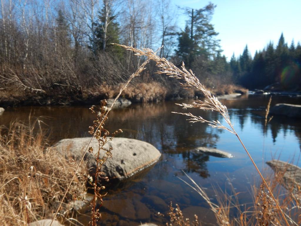 Aux Tipis De La Riviere Sauvage Villa Saint Romain Buitenkant foto